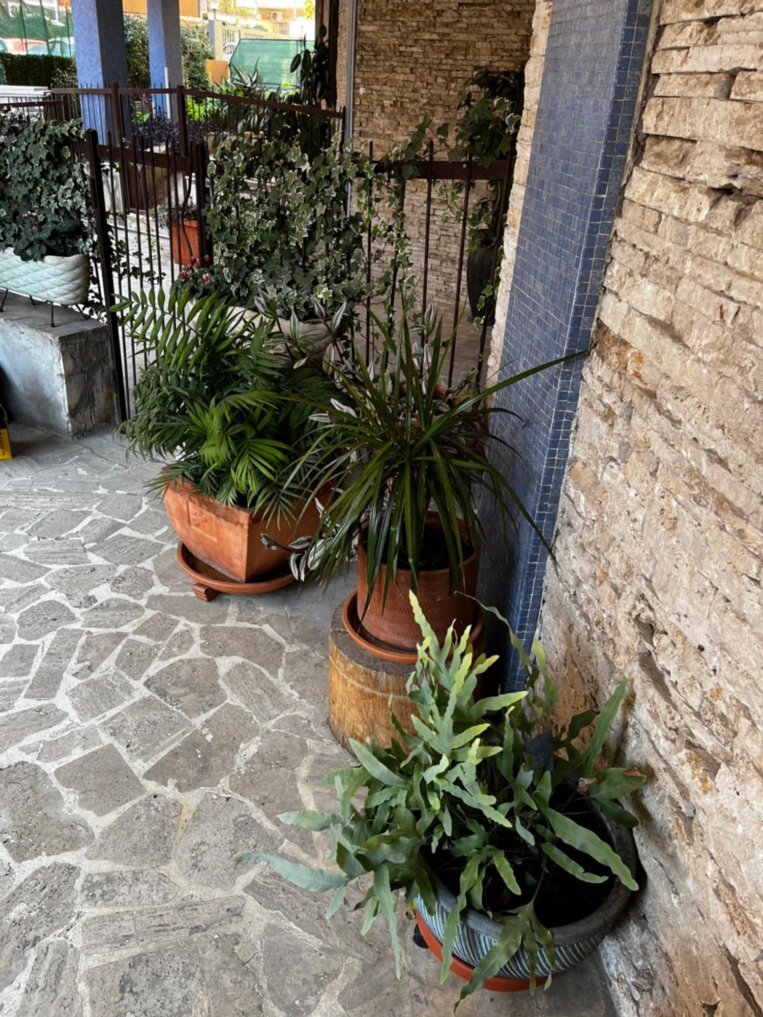 Casetta Romana Exteriér fotografie